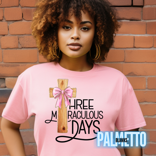 Three Miraculous Days -  Full Color Screen Print Transfer